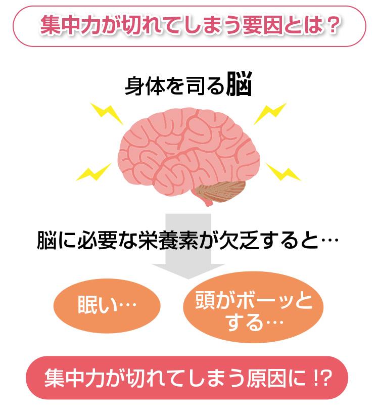 脳 疲労 回復 食べ物 ランキング
