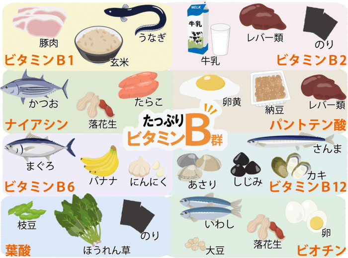 脳 疲労 回復 食べ物 ランキング
