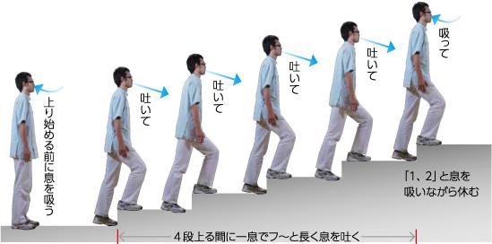 全身 持久 力 トレーニング 家