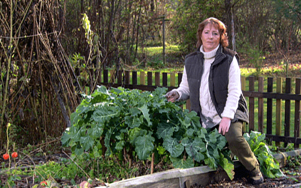 Barbara Krasemann Geboren