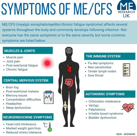 Me CFS Krankheit