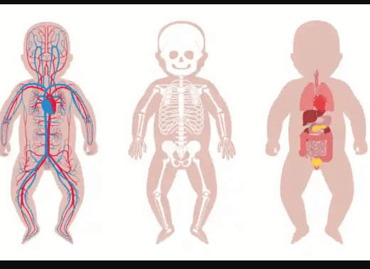 Werden babys ohne kniescheibe geboren