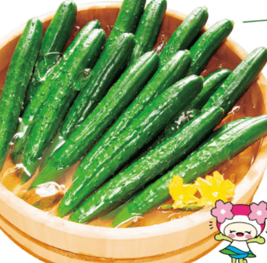 緑 トゲトゲ 野菜