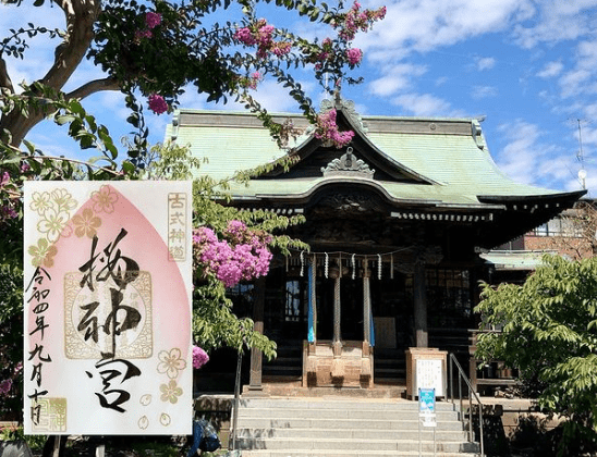 桜 神宮 御朱印 2021 冬