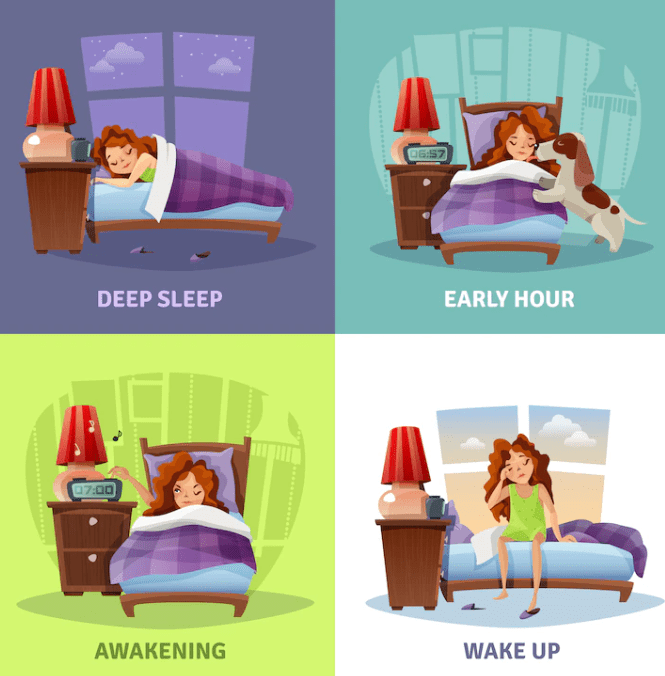 深い 眠り に つく 方法 