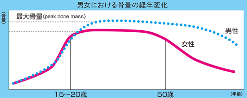 最大 骨 量